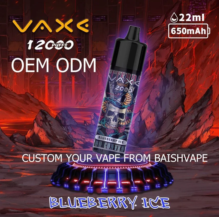 Vaxe 12000 Puffs Zbood Private Label Rechargeable Lung 500/600/800/1600/2500/2800 Fumot Alladin Vaporizer Disposable Vape