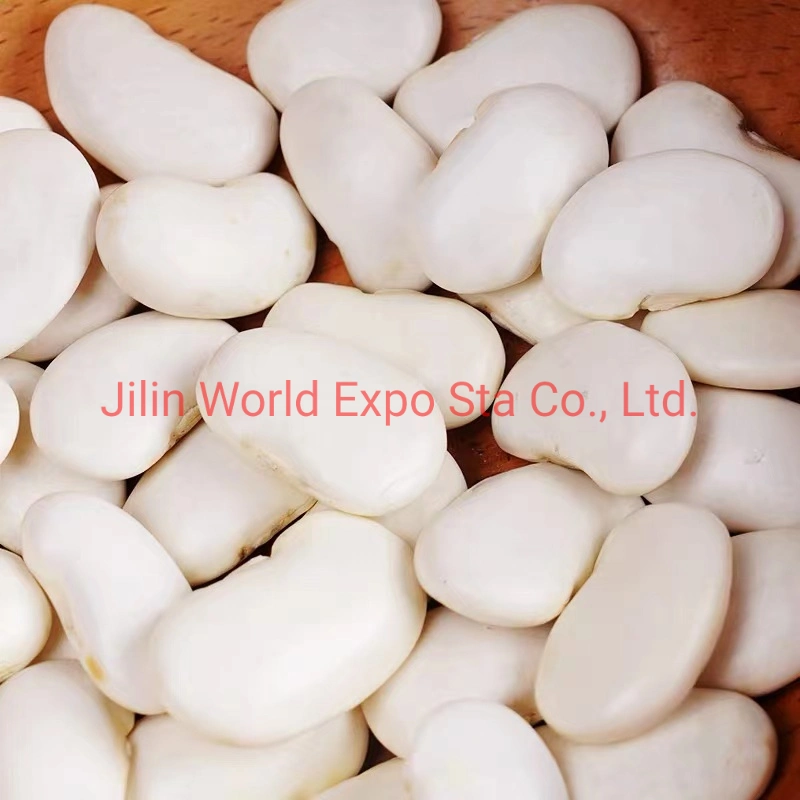 High quality/High cost performance Dried White Kidney Beans From Factory