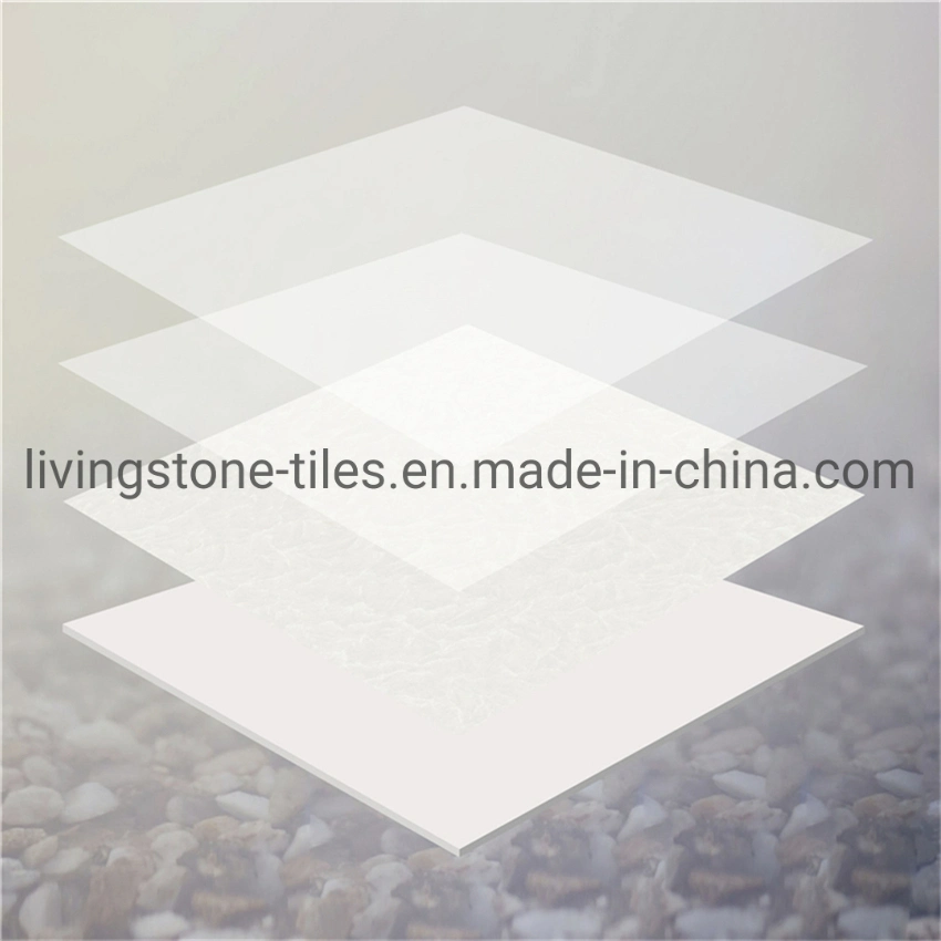 600*600mm Iceberg Snow Lotus Series Matt Finish Building Material Floor Cement Hotel Tile