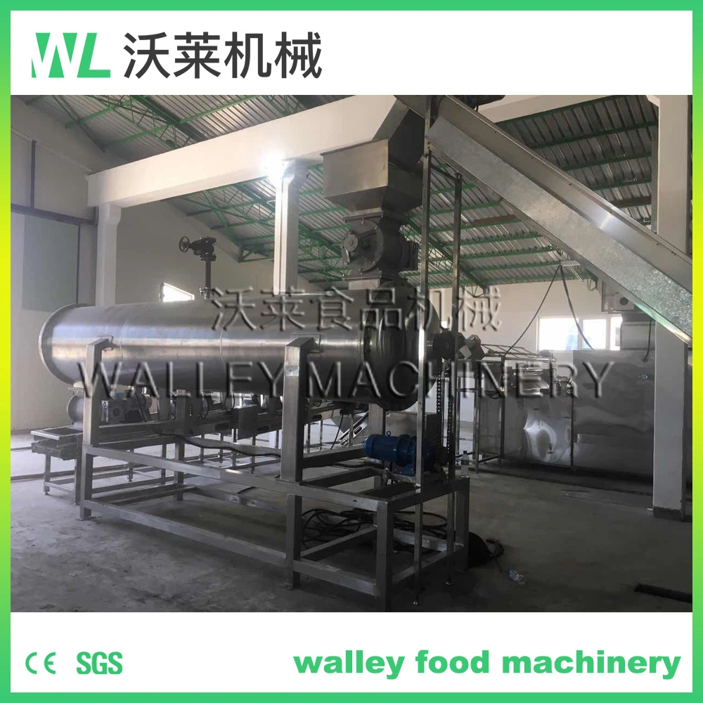 Vegetable Steam Cooker Spiral Blanching Machine for Fruit