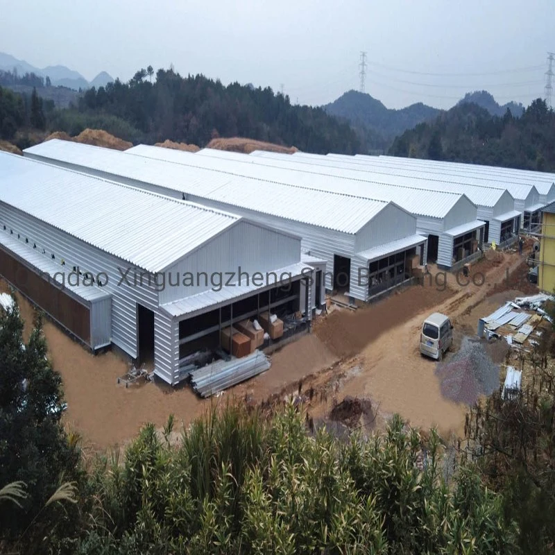 Low Cost Prefabricated Steel Structure Chicken House Farm