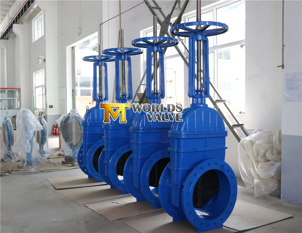 Outside Screw Rubber Gate Valve with BS5163 Awwa C509 DIN3202 F4 F5