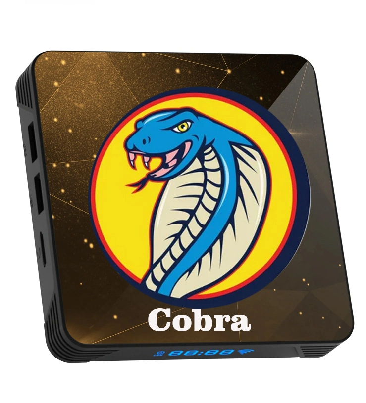 Cobra IPTV Subs 1 mois prend en charge le décodeur TV Android M3U/Xtream Code