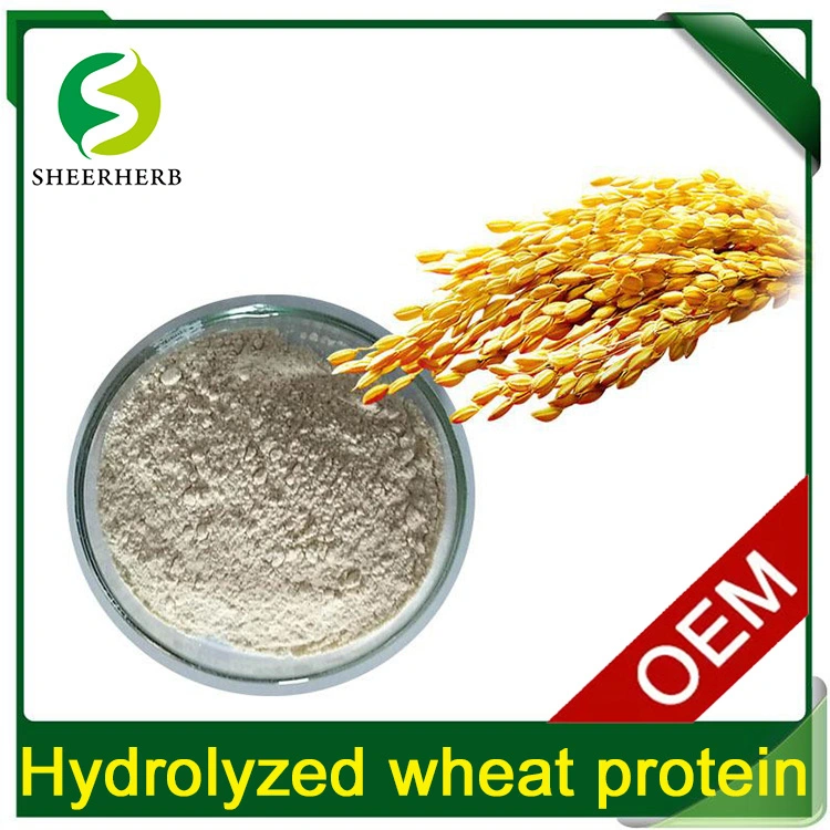 100% Water Soluble Wheat Protein 99% Hydrolysis Wheat Protein Isolate for Hair