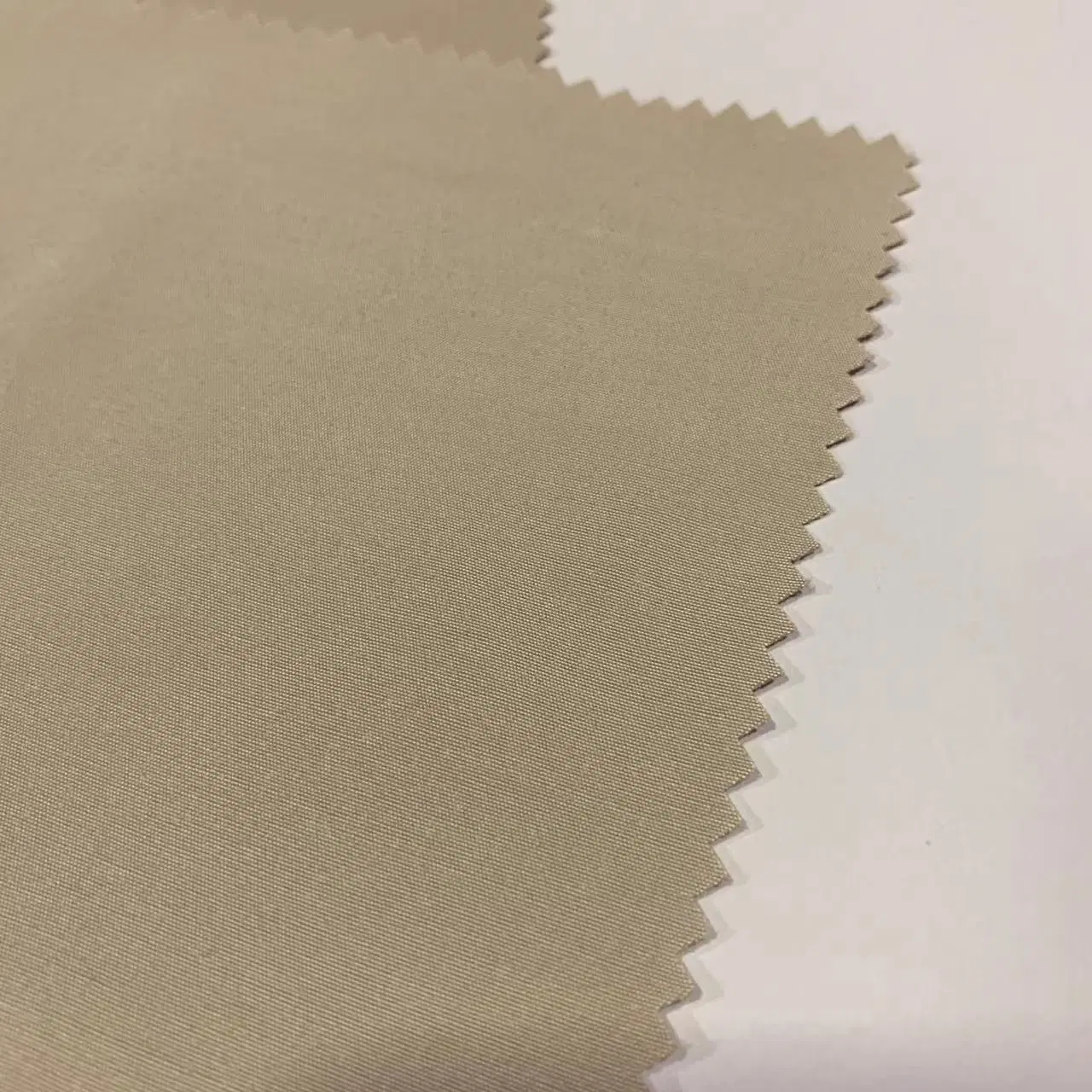 Wholesale/Supplier Polyester Nylon Cotton Brush Fabric