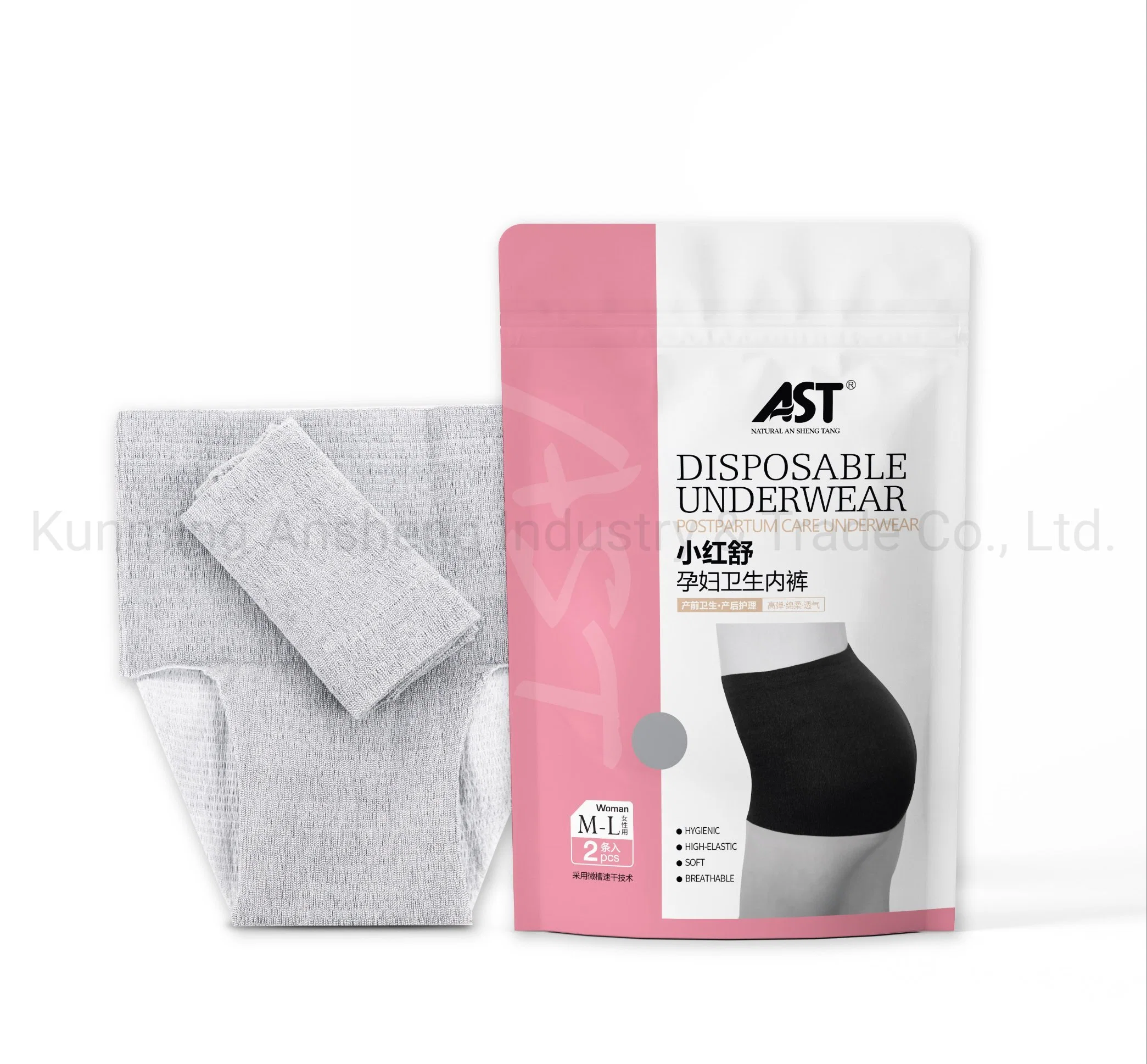 Customized Private Label OEM Disposable Seamless Mom Pregnant Postpartum Maternity Sanitary Underwear Underpants