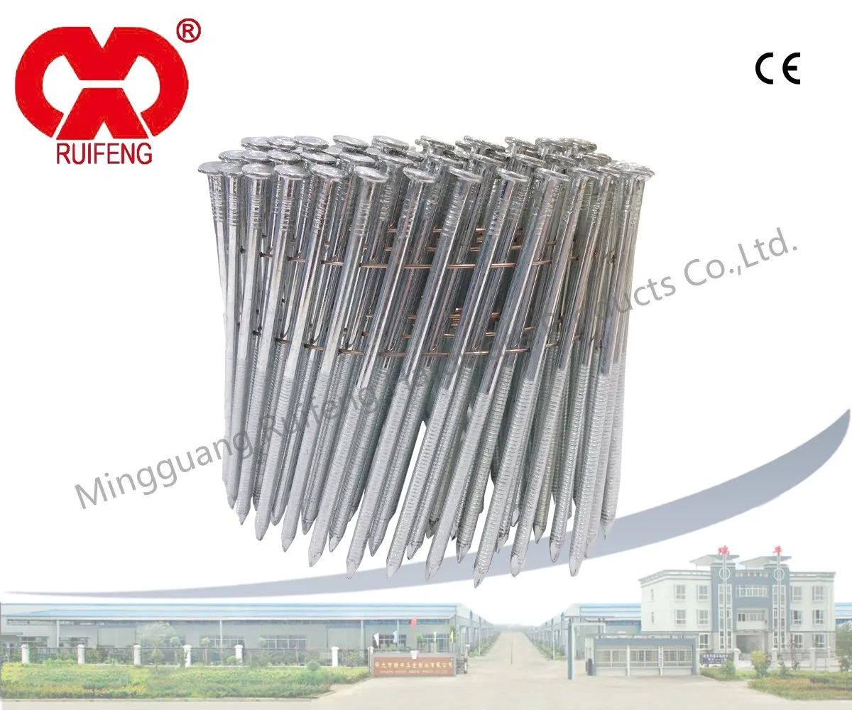 Hardware Fasteners Stainless Steel Framing Nails / Roofing Nails / Siding Nails 15/16&deg; Wire Collated Screws / Coil Nails with CE for Wood Pallets