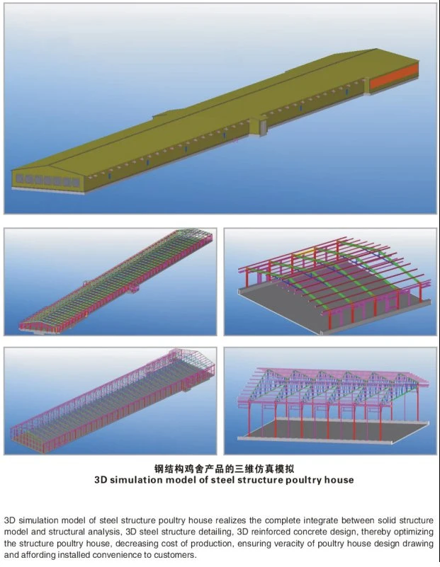 Long Span China Big Space Frame Galvanized Prefabricated Steel Structure Gym Build