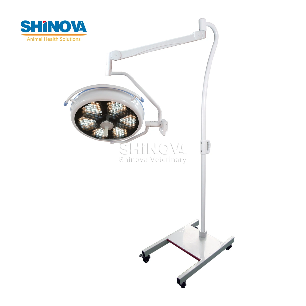 Factory Price Professional Surgery Lamps LED Medical Light Shadowless Operating Lamp