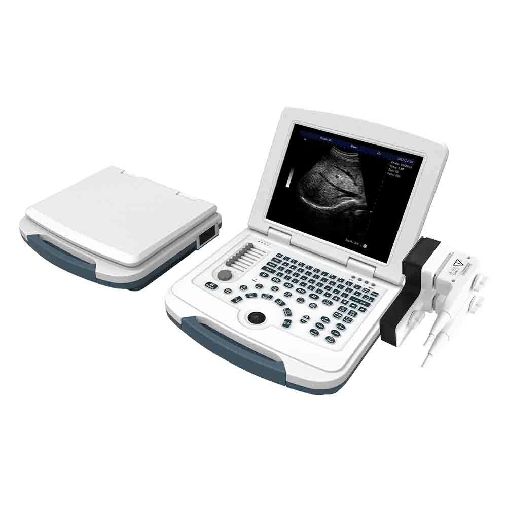 LTUB45V Basic Laptop Bw Veterinary Ultrasound Scanner for Pet Hospital