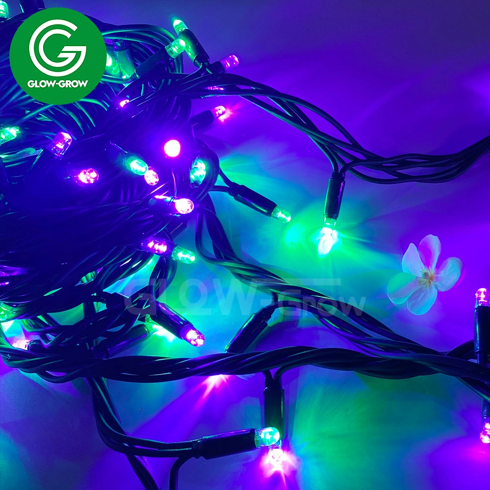 Fabrik Outdoor Weihnachten Twinkle Girlande Licht LED String Licht für Startseite Unkraut Palme Ramadan Diwali Halloween Feiertagsdekoration