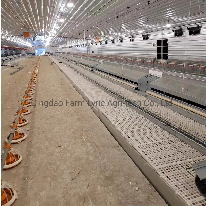 Complete Poultry Farm Equipment Is Sold at The Cheapest Price