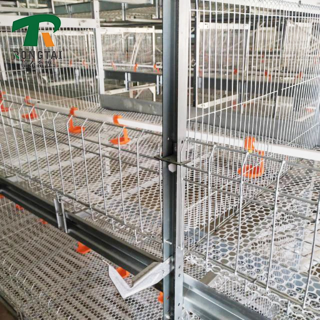 Poultry Farm Layer Egg Chicken Cage System Raising House Design Chicken House Hicken Automatic Egg Incubator Equipment