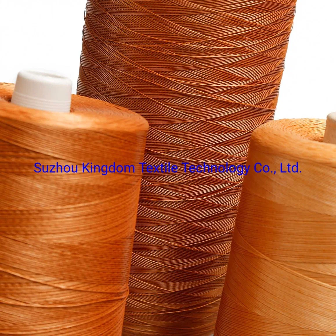 China Supplier 30s Spun 100% Polyester Yarn for Tyre Cord