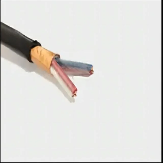 300/500V 2/2/0.5mm PVC Shielded PVC Sheathed Screened Armoured Djvpv22 Computer Cable Wire Instrument Cable