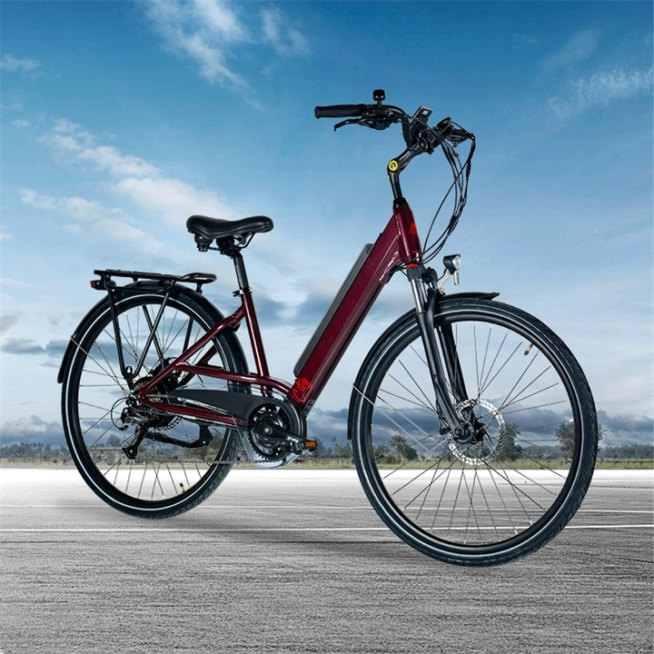 36V Electric Bike with CE Certificate En15194 Ebike for Europe