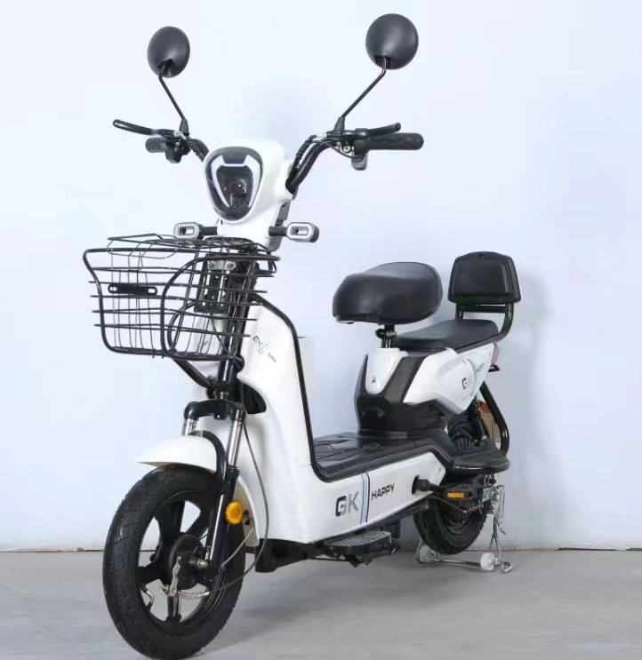 Powerful Adult EEC Scooter Electric Motorcycle with Removable Lithium Battery