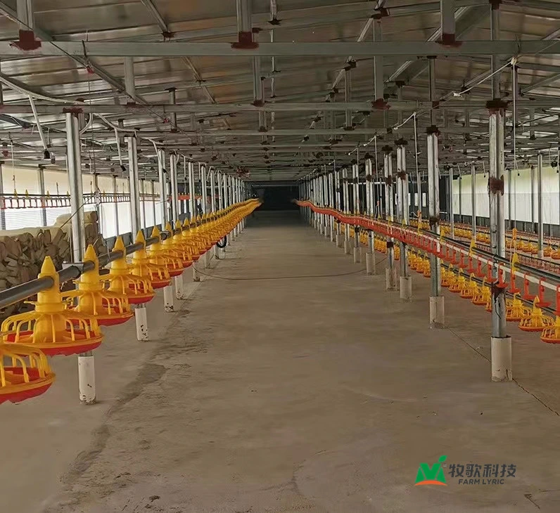 Low Price Custom Automatic Feeding Line Farming Equipment Poultry Facilities