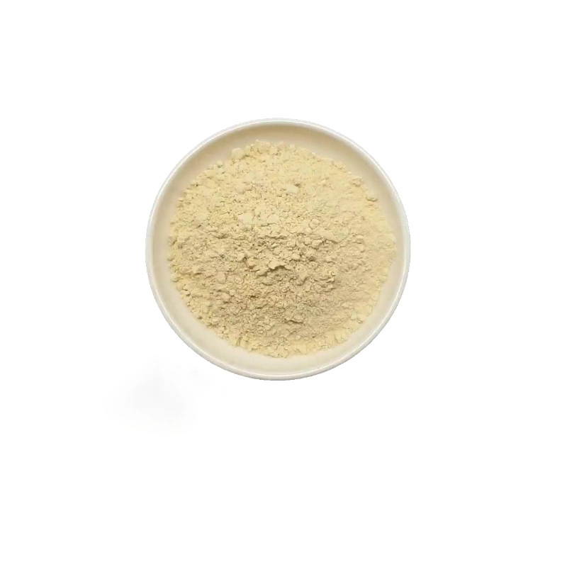 Manufacture Wholesale Organic Ginseng Root Extract Powder High Quality