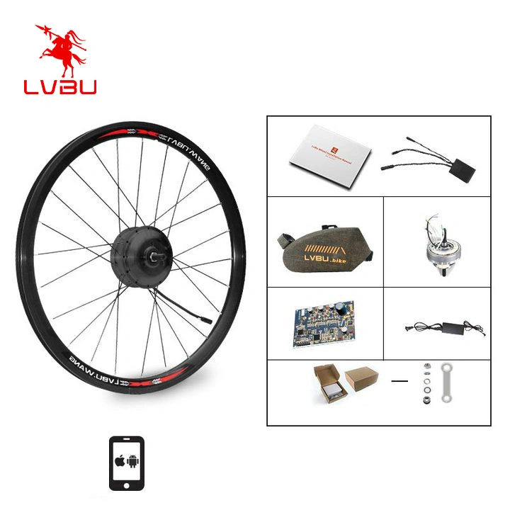 Intelligent Ebike Kit Bt30d 36V 350W Dahon Front Wheel Electric Bicycle Bike Conversion Kit with Battery Motor Controller