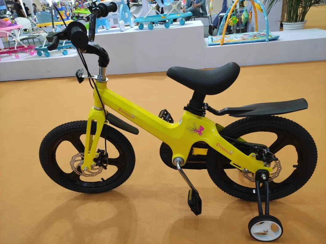 Magnesium Alloy Frame Fresh Design Children Kids Ride on Bike Bicycle Cycling with Training Wheel