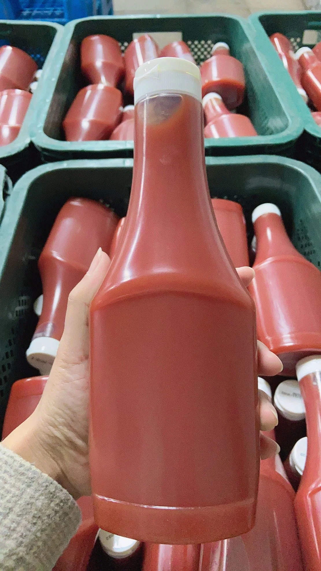 Tomato Ketchup in Pet Bottle 340g