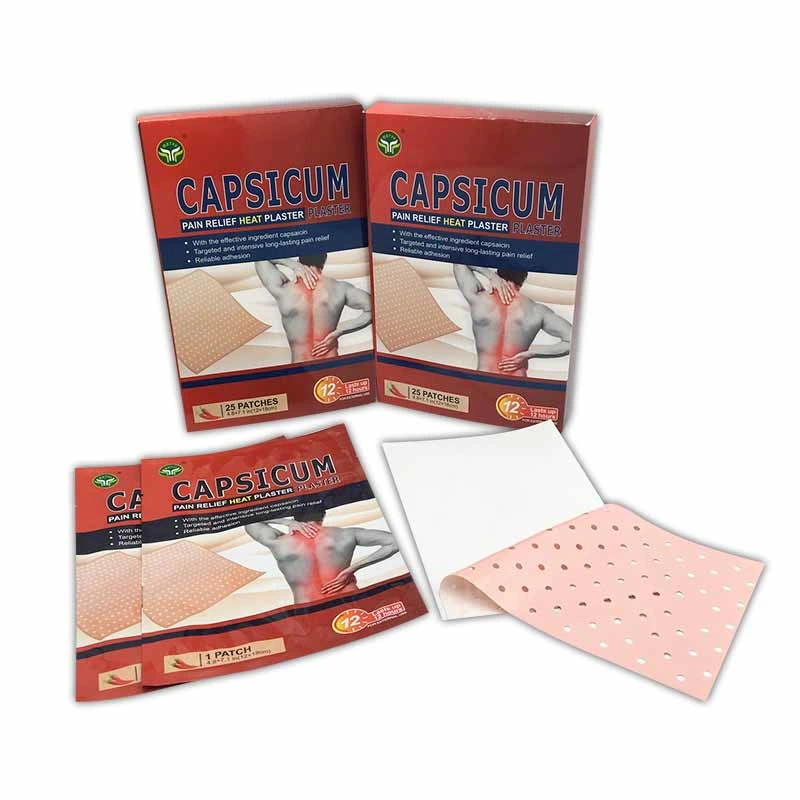 China Medical Porous Large Hot Pain Relief Capsicum Tiger Heat Rheumatism Plaster for Pain