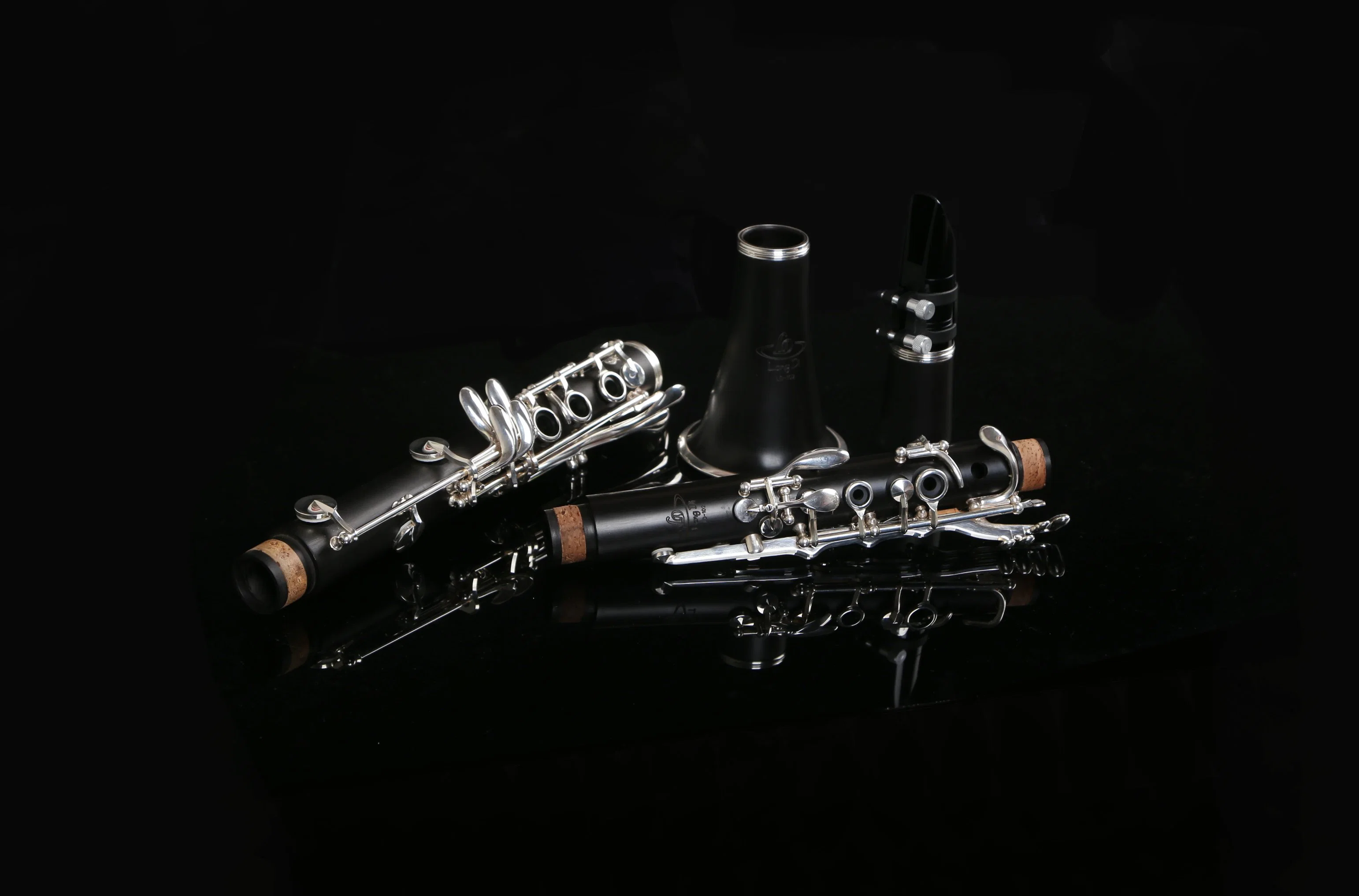 Very Good Beginner Student Clarinet Forest Manufacturer