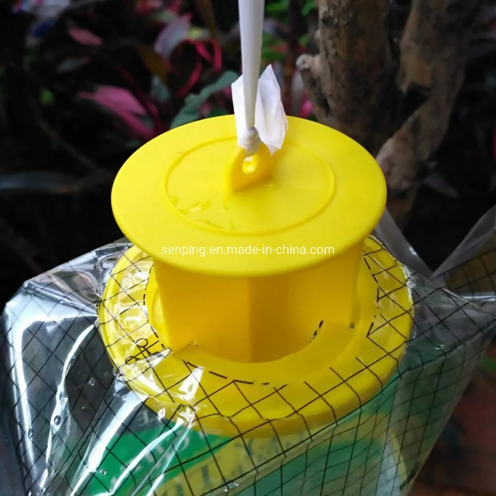 Fruit Fly Sticky Trap Fly Catcher Trap Moth Sticky Trap Kitchen Fly Trap Flying Insect Trap Fly Bag Trap Mosquito Killer Insect Monitors