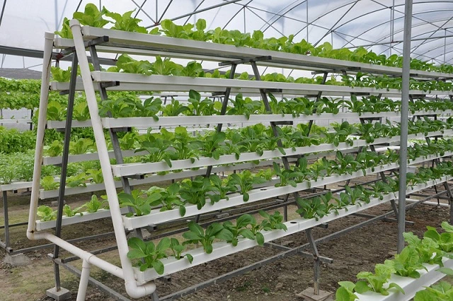 Vertical a Frame Hydroponic alface Growing NFT System PVC hydroponic NFT calha sistema de plantação de legumes de folha de 100X50 mm