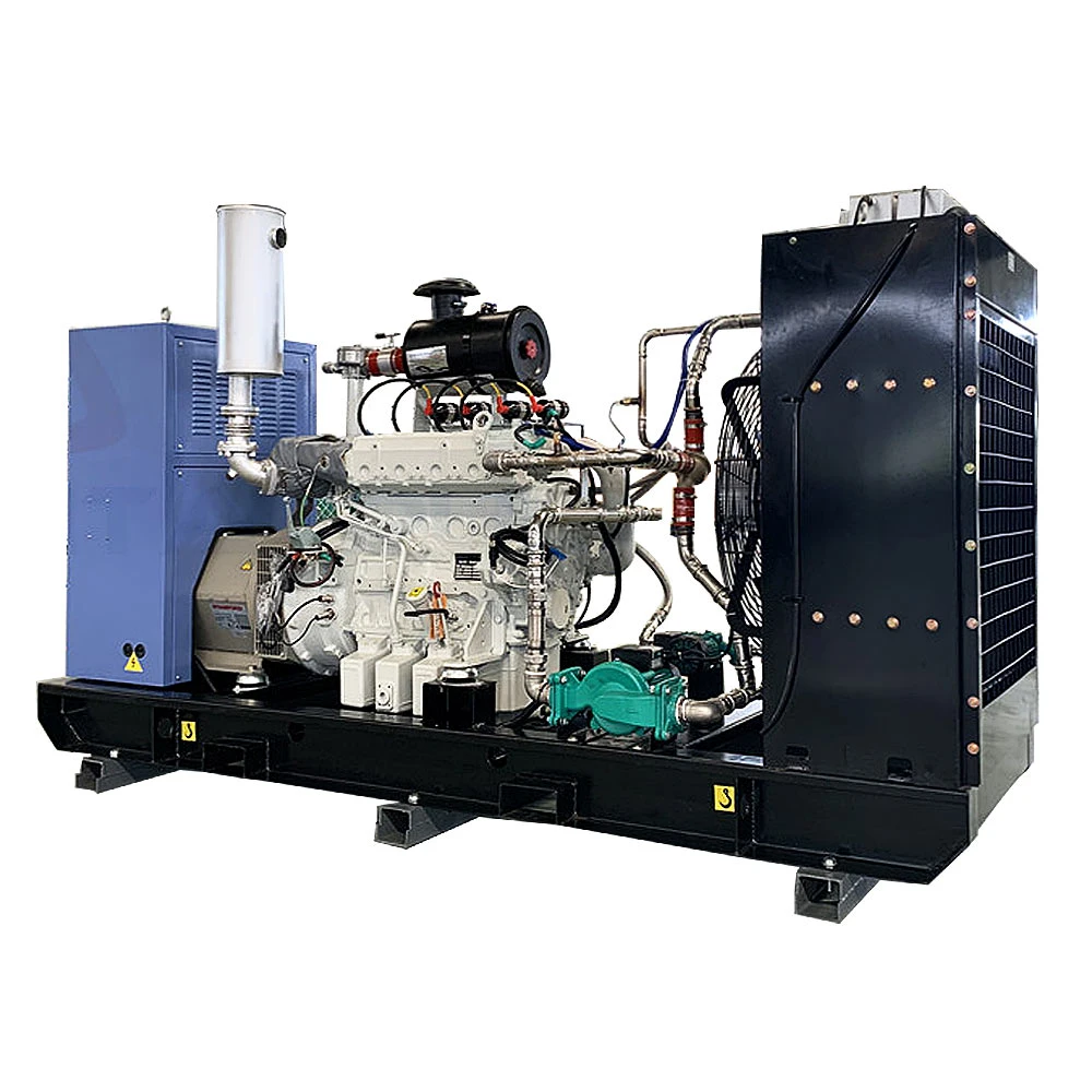 50kw Man Natural Gas Generator Generac with E0834e302