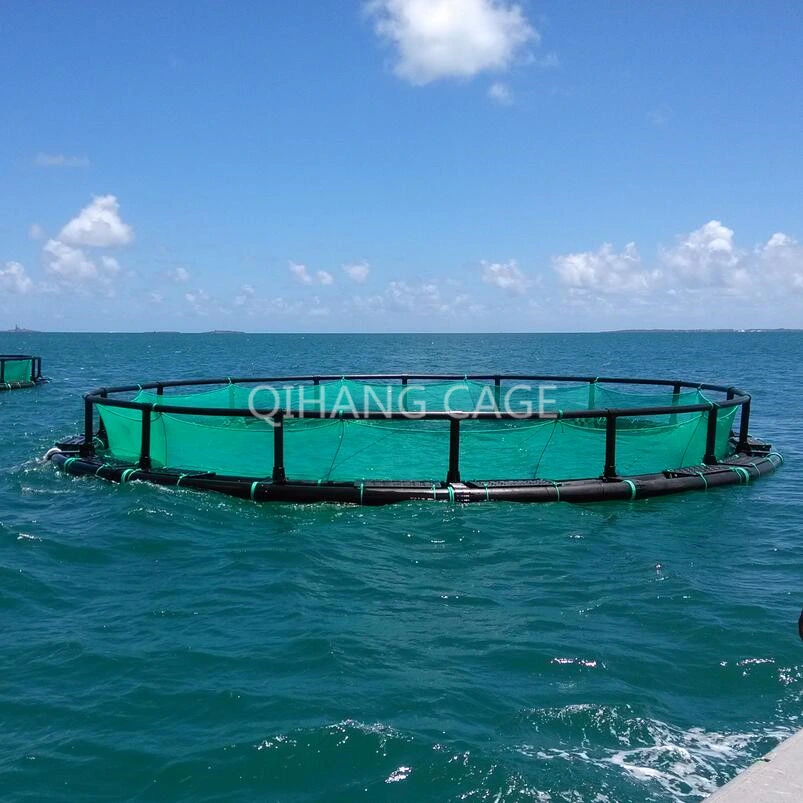 HDPE Fish Cage Farming Net for Sea Bass Farming