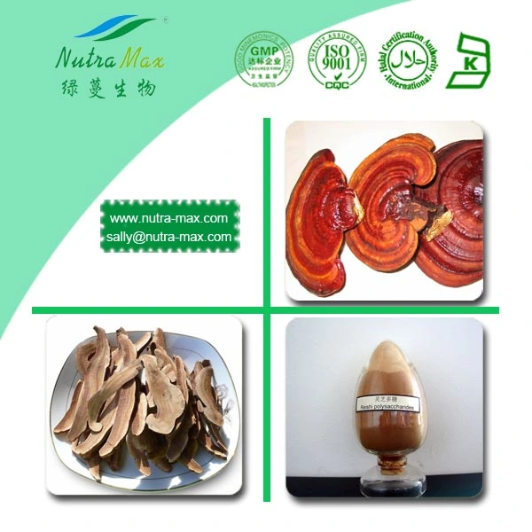 Lingzhi Shell-Broken Ganoderma Lucidum Spore Powder with Free Samples