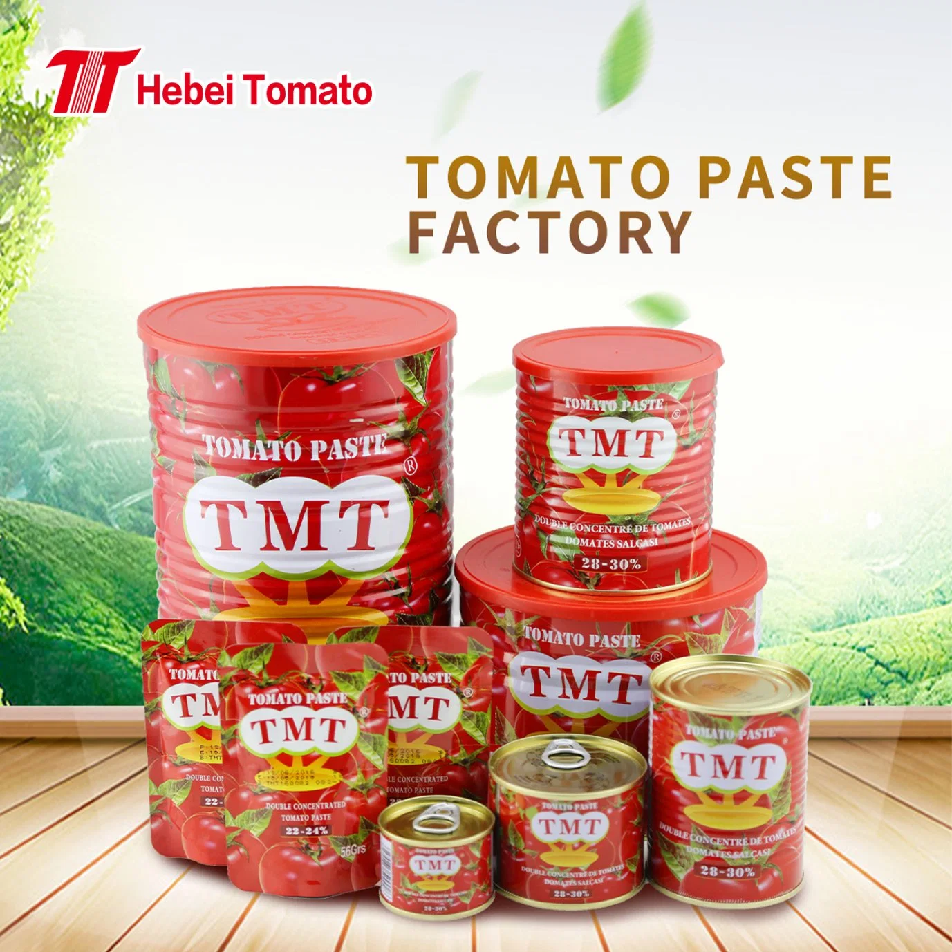 Las conservas de estaño Abre fácil salsa de tomate 70g 210g 400g 800g 2200g Manufacturer