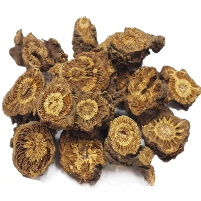 Qiang Huo 100% Natural Chinese Traditional Herb Dried Notopterygium Root Slice