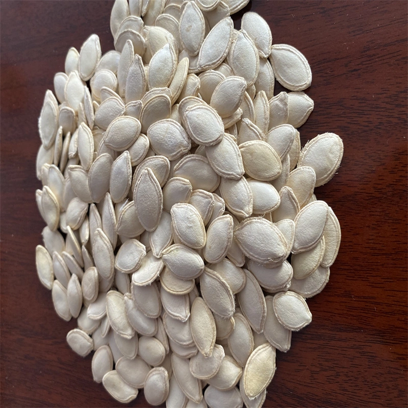 Natural Roasted Pumpkin Seeds with High quality/High cost performance 