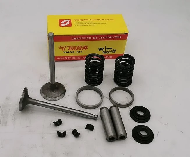 Kit de clipe de assento com guia para válvulas 10PC para Changchai ou semelhante Motor Diesel de arrefecimento a água de 04 tempos e monocilíndrico T35 Zh1125