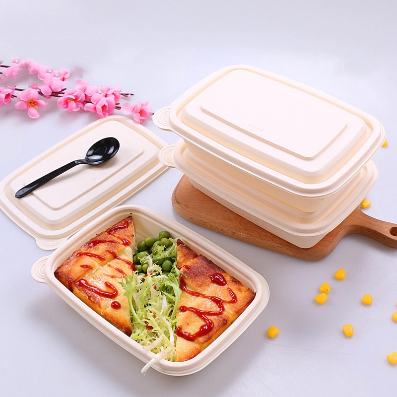 Dispos Lunch Gift Packaging for Biodegradable Bamboo to Carry Food Box