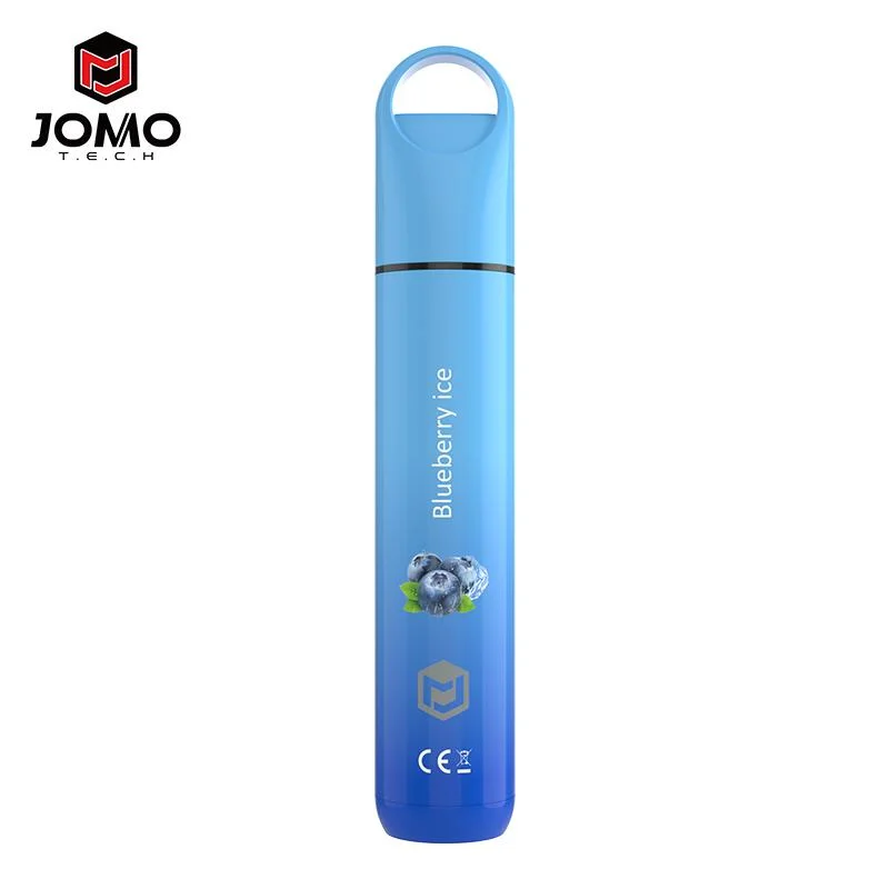 Electronic Cigarette Rechargeable Big Smoke Mesh Coil Factory Direct Sale Disposable/Chargeable Vape