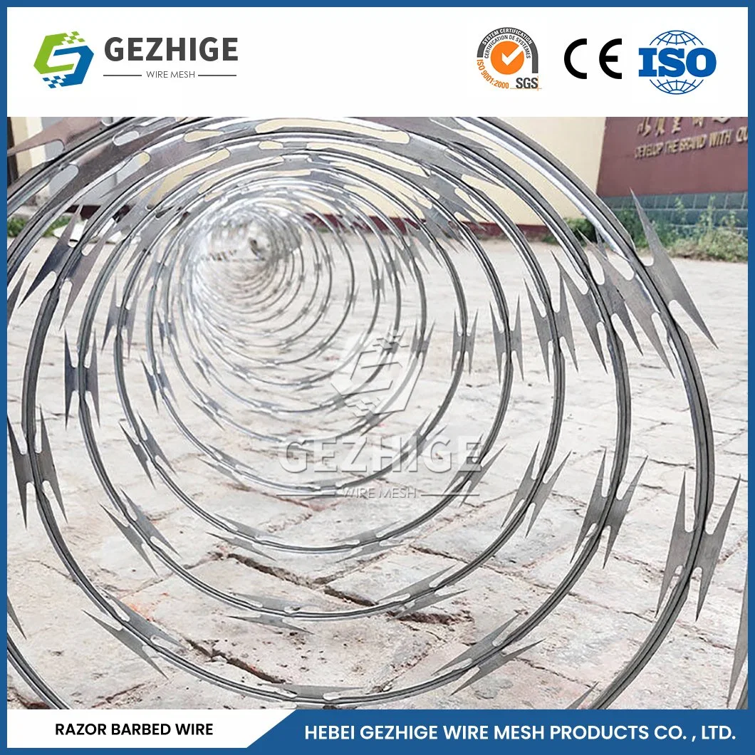 Gezhige Residential Barbed Wire Wholesale/Supplierr 60mm Needle Spacing Cross Type Razor Wire China 5mm Diameter Steel Razor Wire