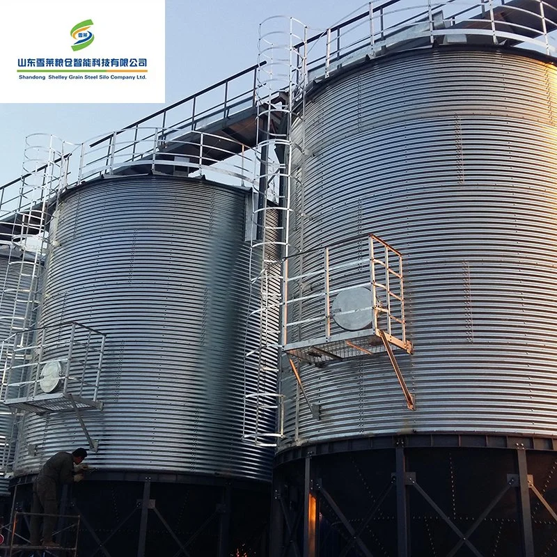 Shelley Feed Storage Silo China Granary Silo Manufacturing Professional Manufacturer وعاء صندوق من الفولاذ المطري أرز بادي القمح الذرة الذرة تخزين سيلو