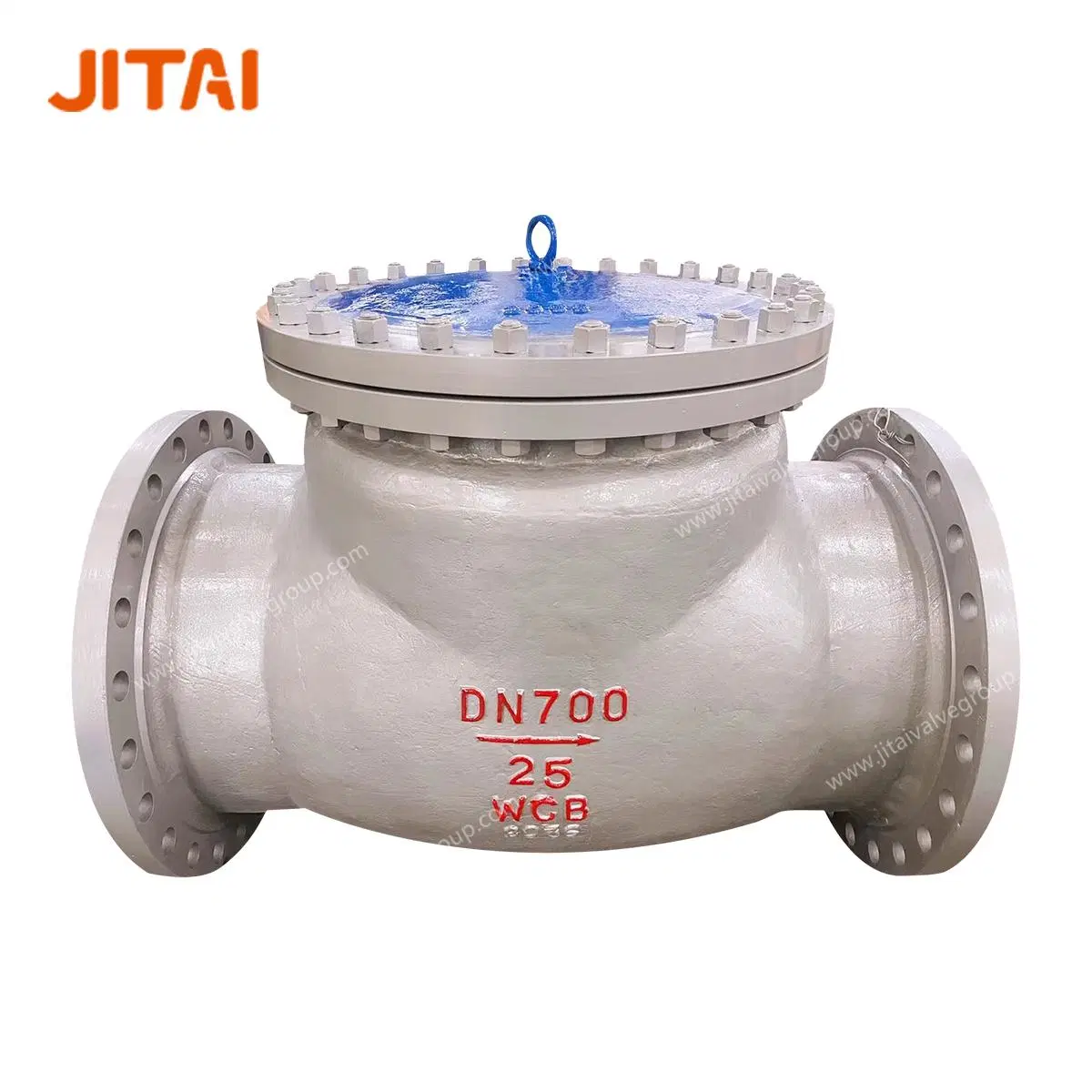 Wcb Carbon Steel Bolted Cover Rotary Type Check Valve