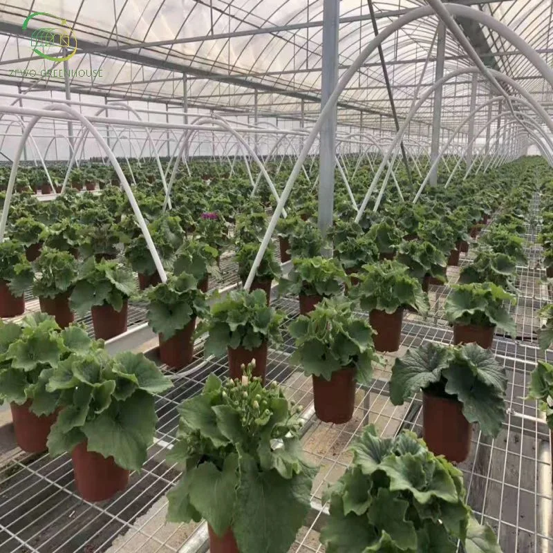 Agricultura mobiliário de jardim malha de arame de berçário rolo Banco móvel seedbed