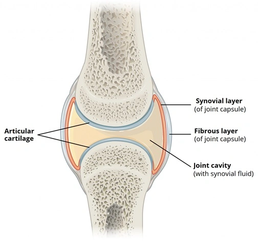 Singjoint Sodium Hyaluronate Joint Gel for OA Surgery with Ce