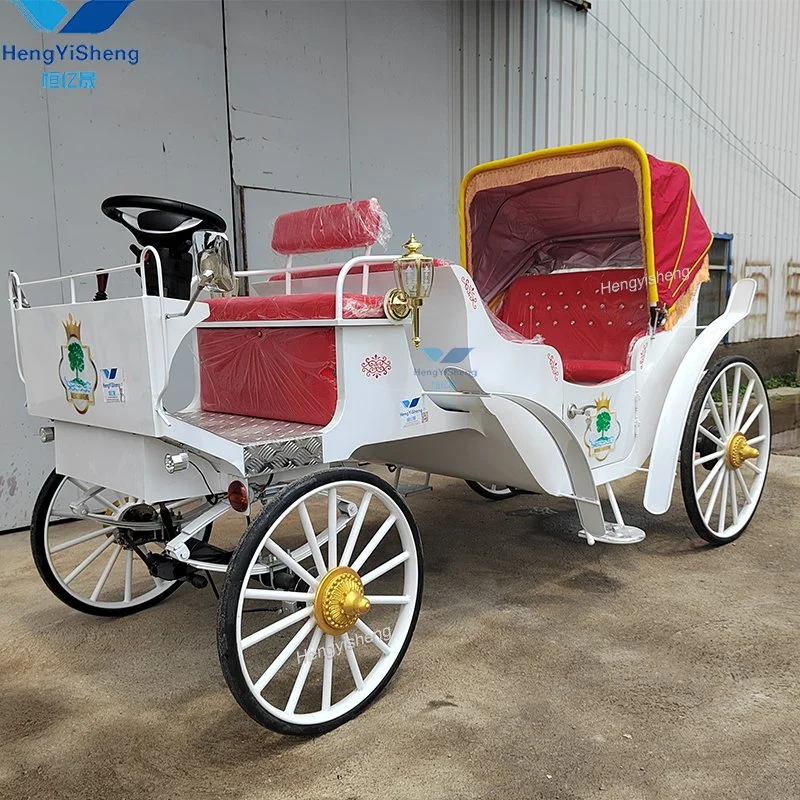 Chinese Special Transportation Customized Sightseeing Horse Carriage