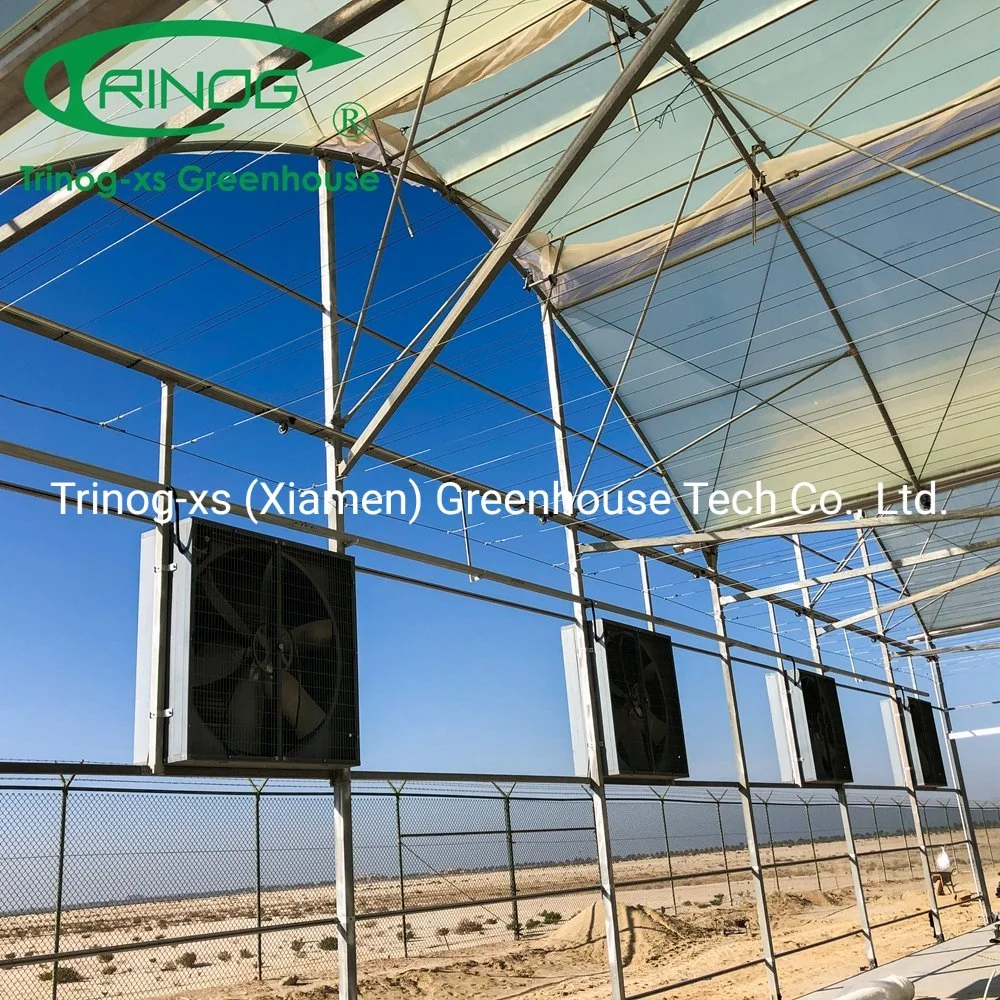 Trinog greenhouse plastic film galvanized zinc coat frame greenhouse for flower house