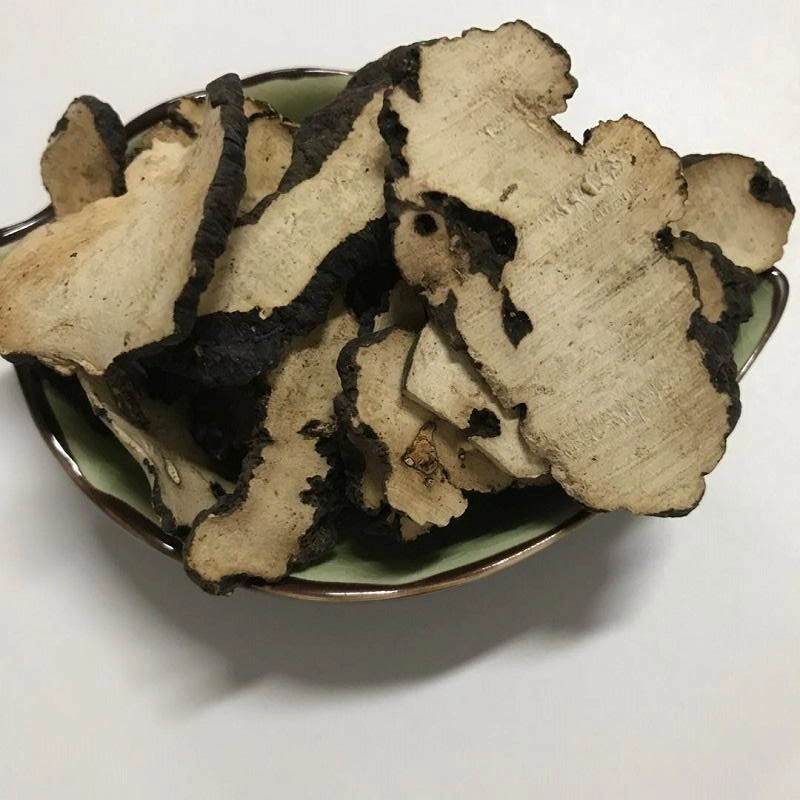 Zhuling China Natural Herbal Medicine Agaric Polyporus Slice