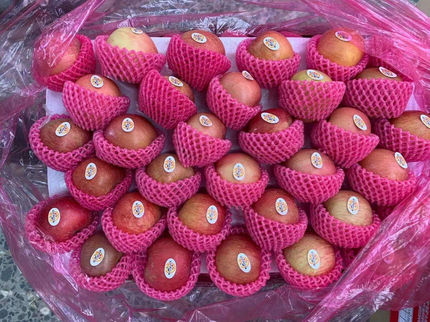 Frutas Manzana Fuji en sacos de plástico de color rosa roja