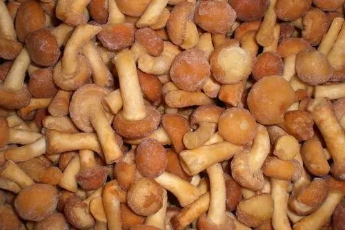 Strophariaceae Pholiota nameko congelado Seta Seta