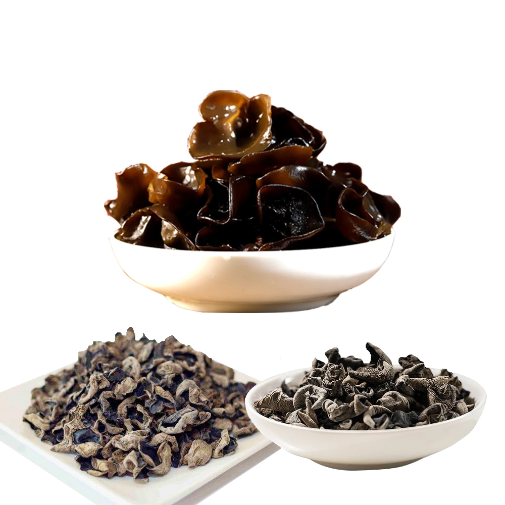 Cultivated Organic Black Mushroom Fungus Food